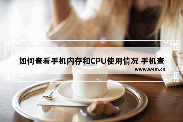 如何查看手机内存和CPU使用情况 手机查看cpu的软件