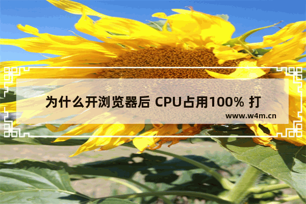 为什么开浏览器后 CPU占用100% 打开浏览器CPU占用高 怎么解决