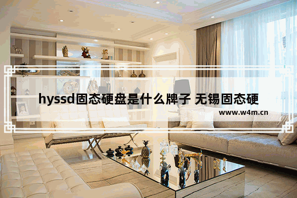 hyssd固态硬盘是什么牌子 无锡固态硬盘企业