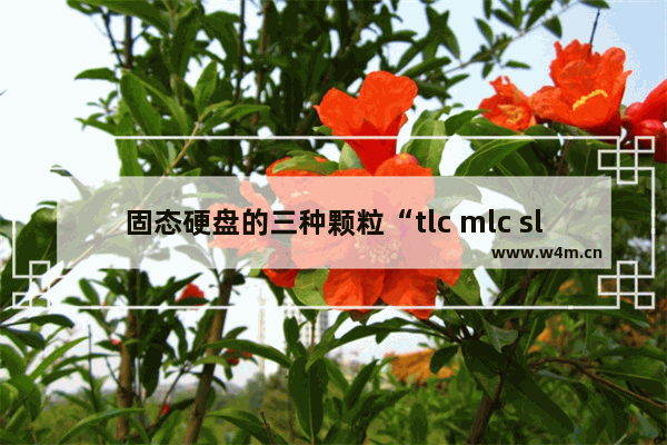 固态硬盘的三种颗粒“tlc mlc slc” 哪一种更好更稳定 硬盘的分类固态