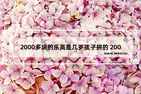 2000多块的乐高是几岁孩子拼的 2000笔记本电脑配件