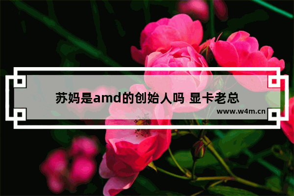 苏妈是amd的创始人吗 显卡老总