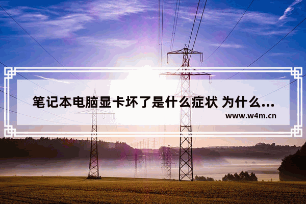 笔记本电脑显卡坏了是什么症状 为什么电脑插显卡能正常开机 就是显示不出来呢