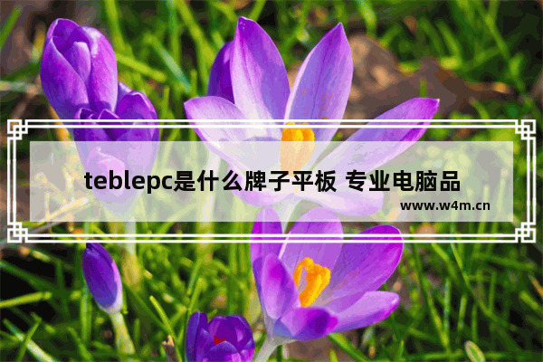 teblepc是什么牌子平板 专业电脑品牌和手机品牌