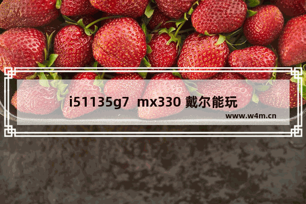 i51135g7  mx330 戴尔能玩什么游戏 戴尔灵越14能玩那些游戏