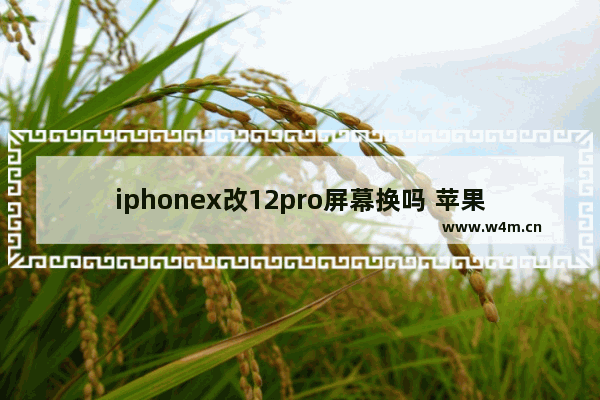 iphonex改12pro屏幕换吗 苹果diy显示器