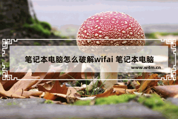 笔记本电脑怎么破解wifai 笔记本电脑怎么wifi密码破解