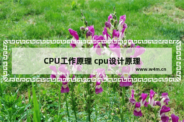 CPU工作原理 cpu设计原理