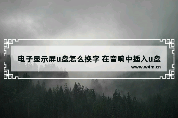 电子显示屏u盘怎么换字 在音响中插入u盘怎么在屏幕上显示