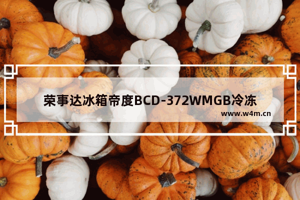 荣事达冰箱帝度BCD-372WMGB冷冻拆 帝度372冰箱电脑主板