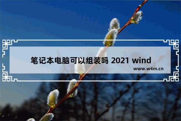 笔记本电脑可以组装吗 2021 windows7笔记本推荐