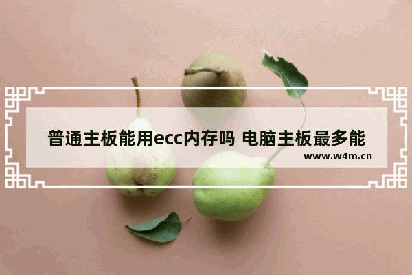 普通主板能用ecc内存吗 电脑主板最多能插几个内存条啊