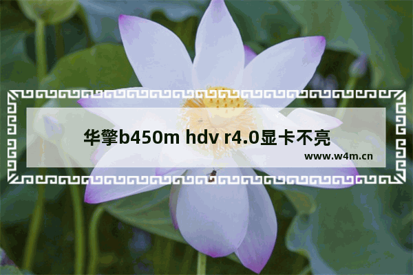 华擎b450m hdv r4.0显卡不亮 hdv显卡