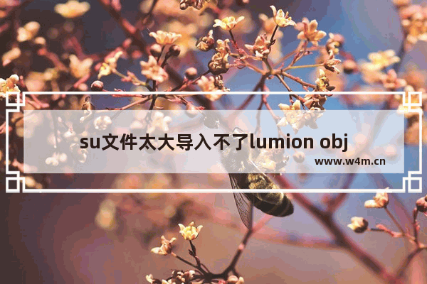 su文件太大导入不了lumion obj显卡