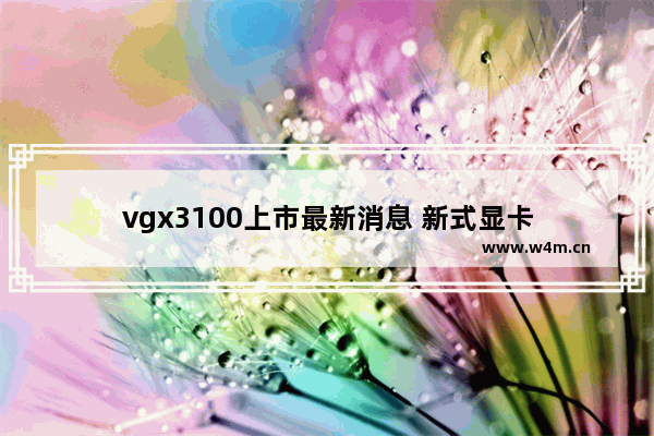 vgx3100上市最新消息 新式显卡