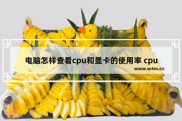 电脑怎样查看cpu和显卡的使用率 cpu使用率记录