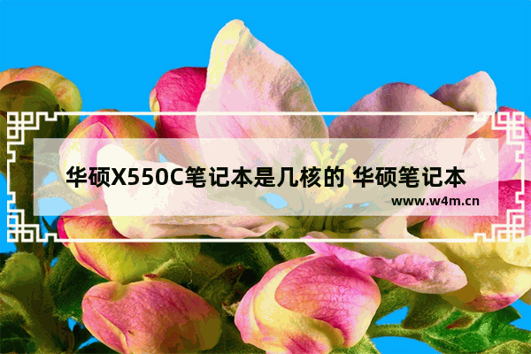 华硕X550C笔记本是几核的 华硕笔记本电脑x550c