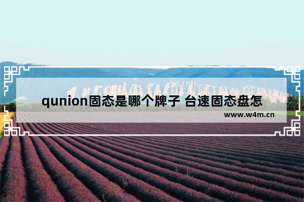 qunion固态是哪个牌子 台速固态盘怎么样