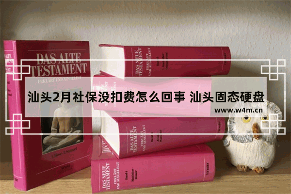 汕头2月社保没扣费怎么回事 汕头固态硬盘缓存