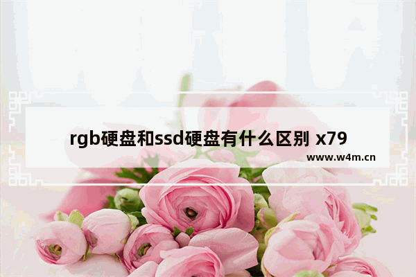 rgb硬盘和ssd硬盘有什么区别 x79固态硬盘推荐