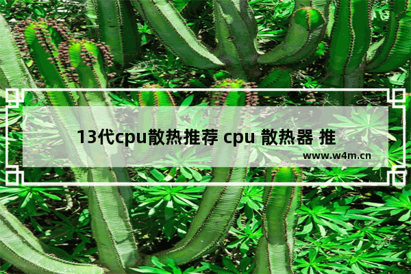 13代cpu散热推荐 cpu 散热器 推荐