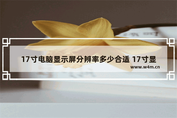 17寸电脑显示屏分辨率多少合适 17寸显示器 最佳分辨率