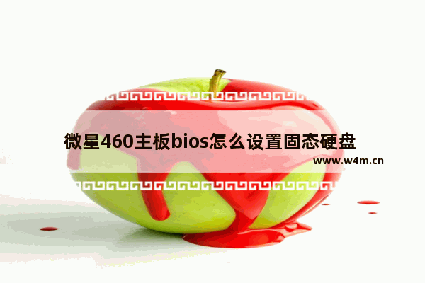 微星460主板bios怎么设置固态硬盘 1078111是酒的什么标准