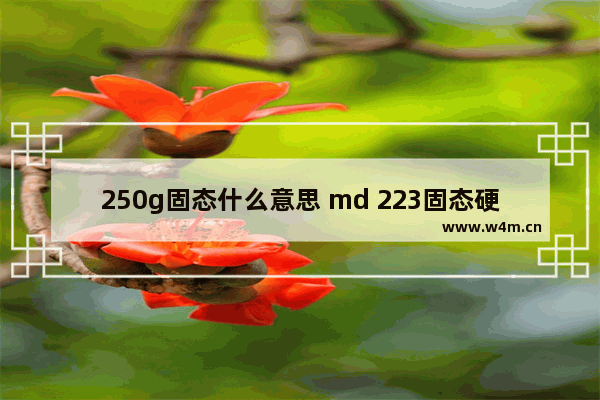 250g固态什么意思 md 223固态硬盘