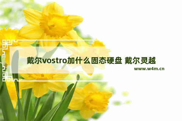 戴尔vostro加什么固态硬盘 戴尔灵越3511有固态硬盘接口吗