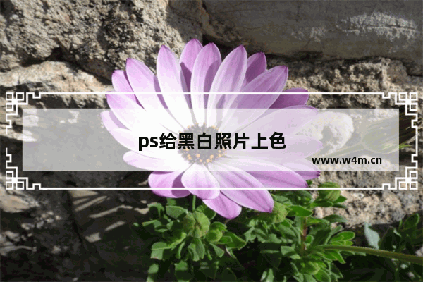 ps给黑白照片上色