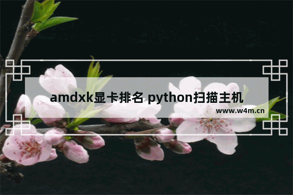 amdxk显卡排名 python扫描主机配置信息