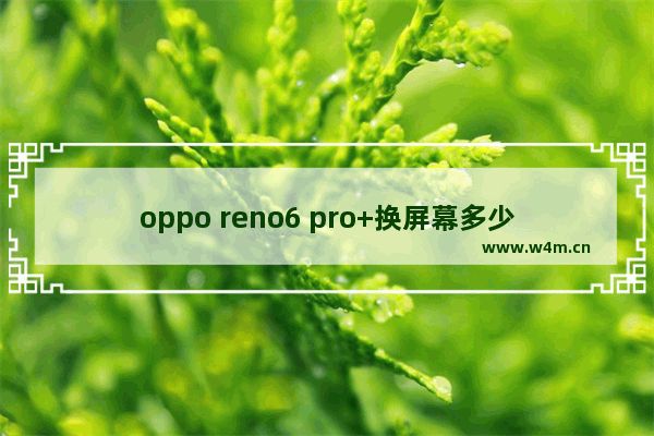 oppo reno6 pro+换屏幕多少钱 手机屏幕碎了 但还可以用 只是有的时候画面不清晰 应该换内屏还是外屏