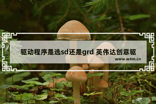 驱动程序是选sd还是grd 英伟达创意驱动和游戏驱动差别