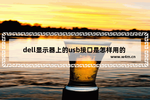 dell显示器上的usb接口是怎样用的 显示器上的USB接口 可以将鼠标和键盘接在上面吗