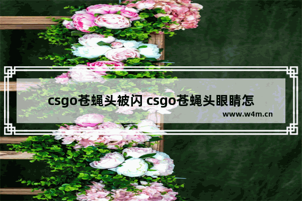 csgo苍蝇头被闪 csgo苍蝇头眼睛怎么变色