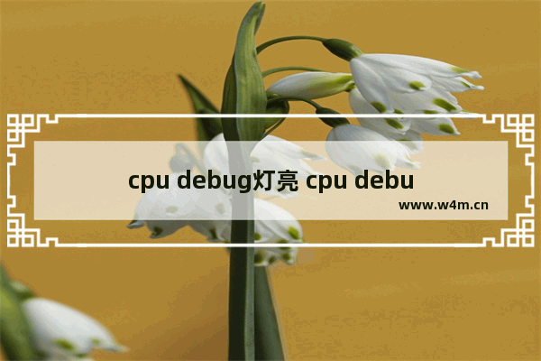 cpu debug灯亮 cpu debug