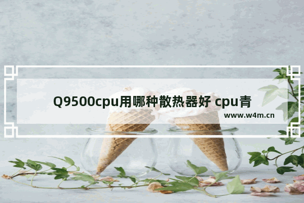 Q9500cpu用哪种散热器好 cpu青鸟风扇