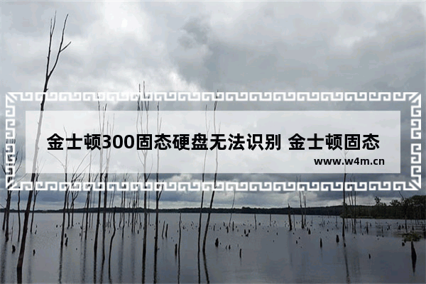 金士顿300固态硬盘无法识别 金士顿固态硬盘300