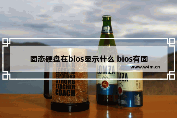 固态硬盘在bios显示什么 bios有固态硬盘