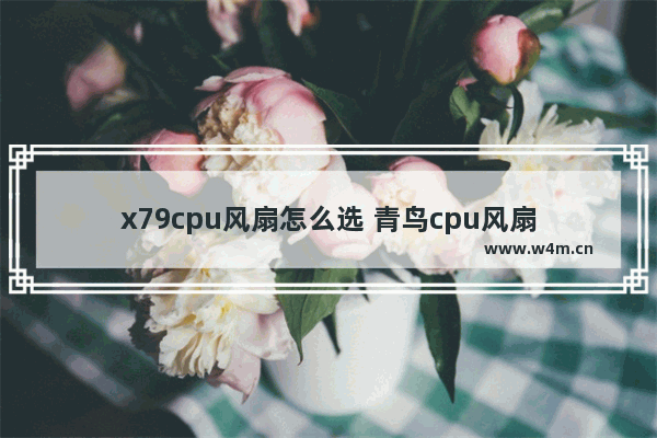 x79cpu风扇怎么选 青鸟cpu风扇