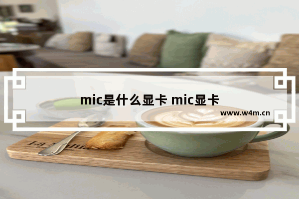 mic是什么显卡 mic显卡