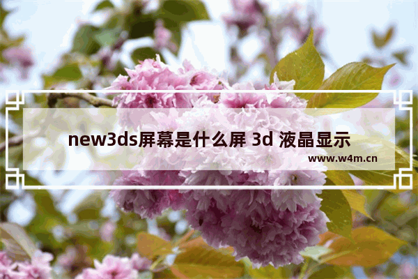 new3ds屏幕是什么屏 3d 液晶显示器