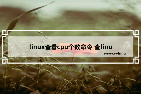 linux查看cpu个数命令 查linux cpu