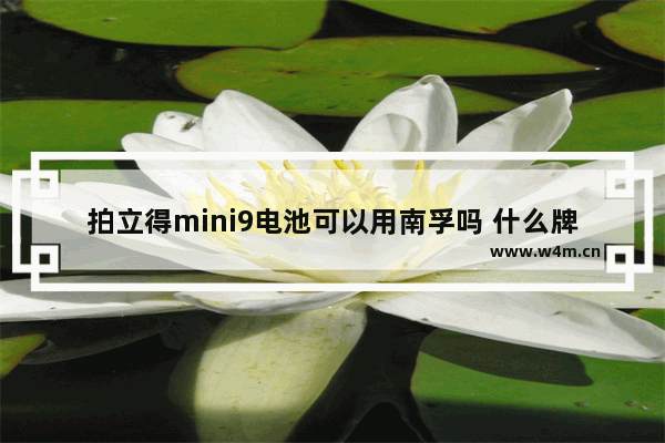 拍立得mini9电池可以用南孚吗 什么牌子电池不是碱性电池