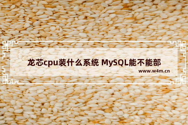 龙芯cpu装什么系统 MySQL能不能部署在arm服务器