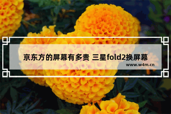 京东方的屏幕有多贵 三星fold2换屏幕费用