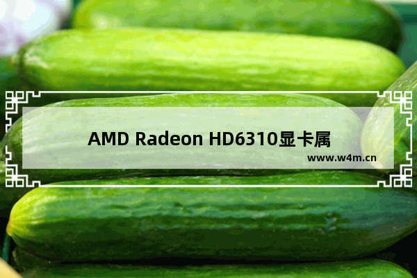 AMD Radeon HD6310显卡属于怎样的显卡 好用吗 EN显卡