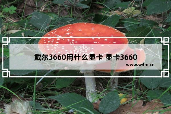 戴尔3660用什么显卡 显卡3660