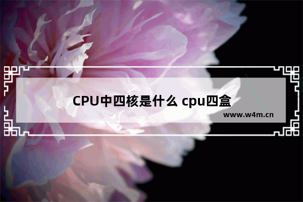 CPU中四核是什么 cpu四盒