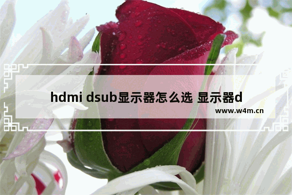 hdmi dsub显示器怎么选 显示器d sub